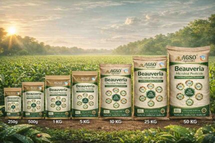 AGSO Bio Beauveria (Microbial Powder Pesticide)