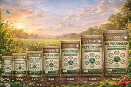 AGSO Bio Metarhizium (Microbial Powder Pesticide)