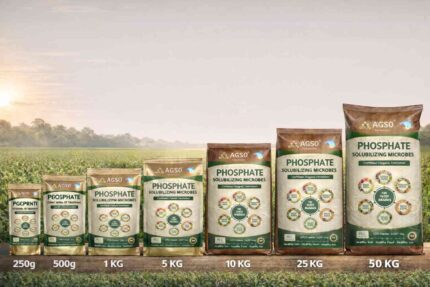 Organic Powder Fertilizer Phosphate Solubilizing Bacteria