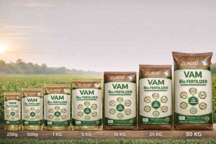 Organic Fertilizer VAM Powder